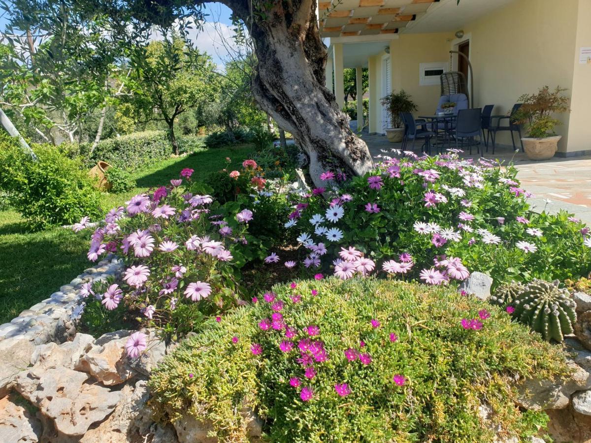 Studio Holiday Kalamata Apartment Екстериор снимка